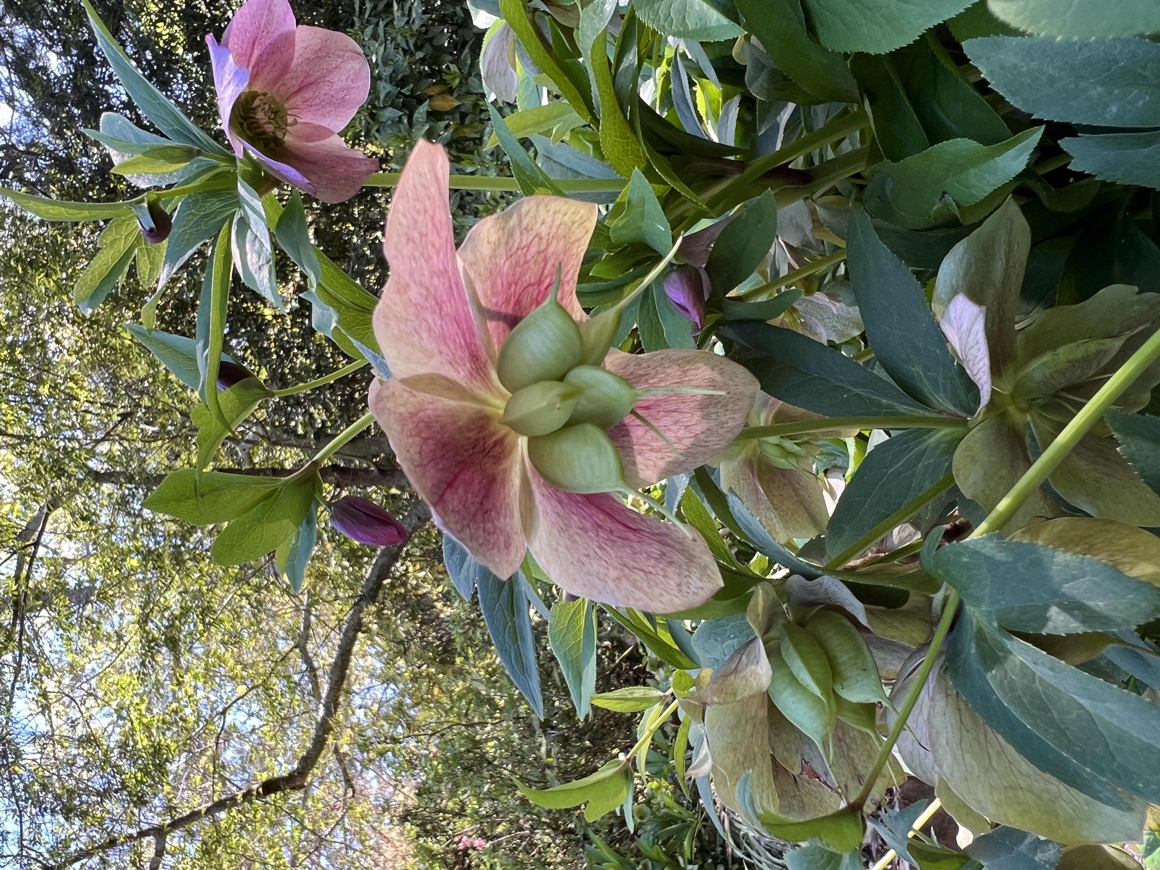 ./2023/05 - Toni Adventures/IMG_3228.JPG